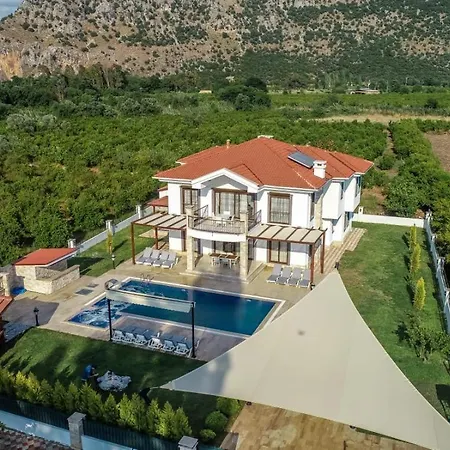 Sylvia Dalyan